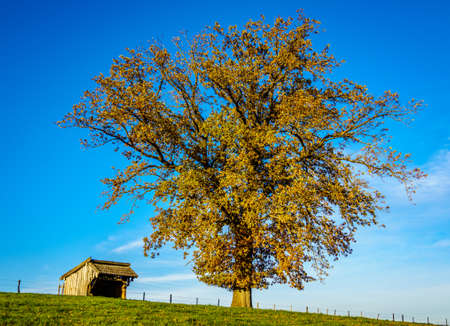 landscape near Sindelsdorf in Germany - bavariaの写真素材