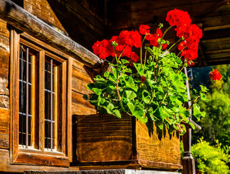 old window at a facade - photoの写真素材