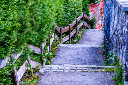 old wooden fence - nice background patternの写真素材