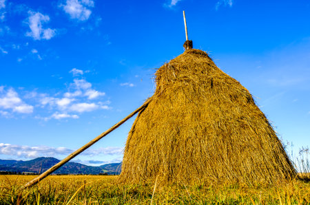 old haybale at a fieldの写真素材