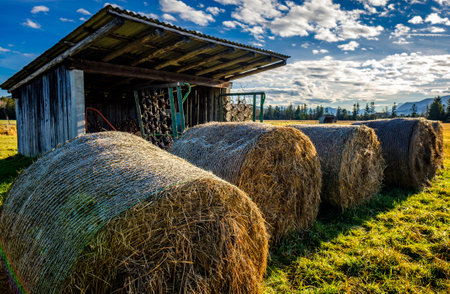 hay bales at a farm - austriaの写真素材