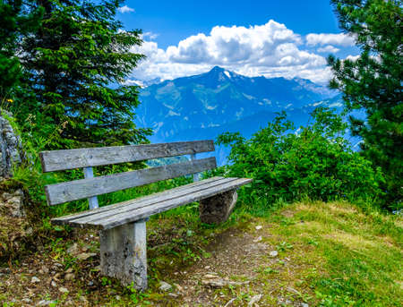 old bench at a park - photoの写真素材