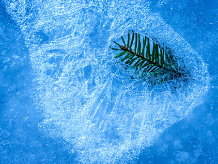 ice structures at wintertime - close up