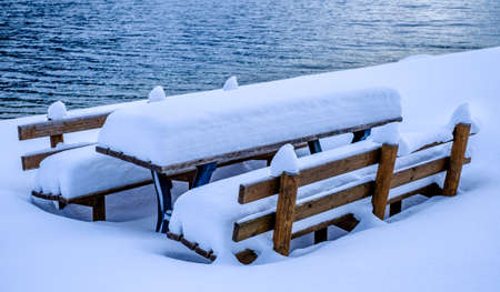 old bench at a park - photoの写真素材