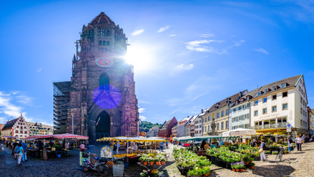 Freiburg, Germany - July 9: historic buildings at the famous old town of Freiburg im Breisgau on July 9, 2020のeditorial素材
