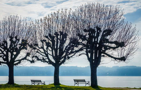 bench at a park in bavariaの写真素材