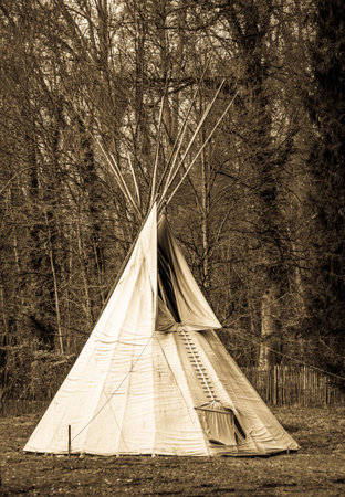 nice tent at a park - photo
