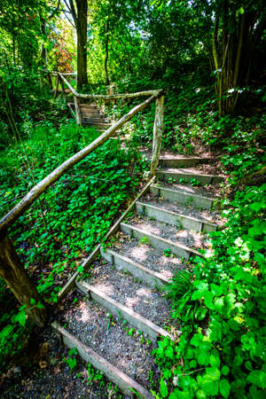 wooden steps at a forest in autumn