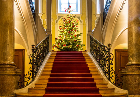 nice typical christmas tree - photoのeditorial素材