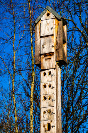 typical wooden bird house - photoの写真素材