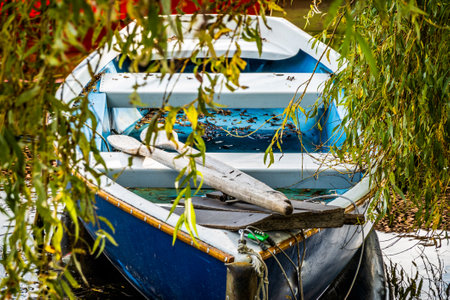old row boat at a lake - photo