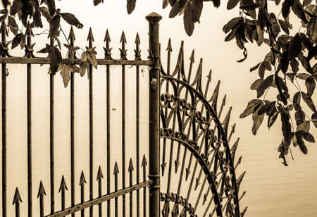 part of an old fenceの写真素材