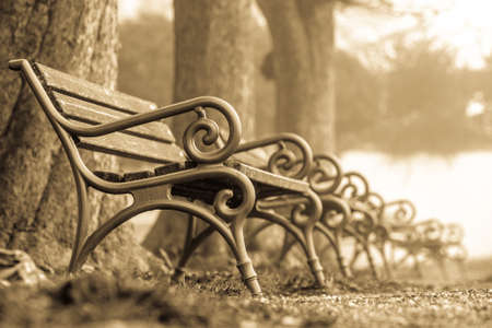 bench at a park - photoの写真素材