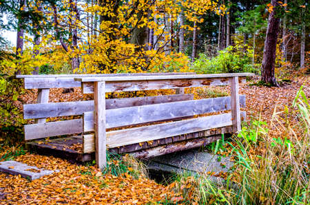 wooden footbridge at a park - photo