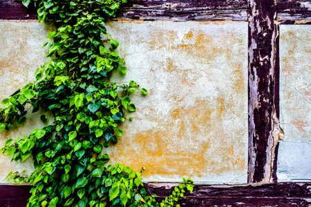 old brick wall - nice background - photo