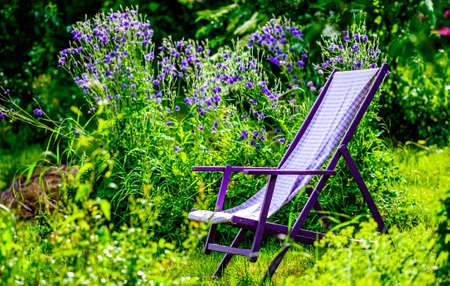 old chairs at a backyard - photoの写真素材