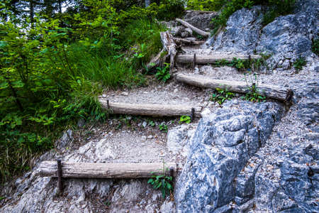 wooden steps at a forest in autumnの写真素材