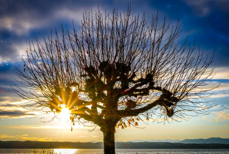 landscape at the Lake Starnberg - Tutzing - Bavaria - Germanyの写真素材
