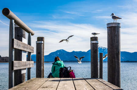 seagull at a lake - bavaria