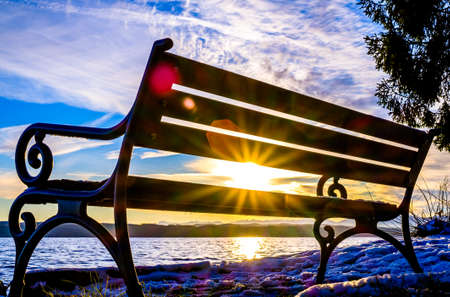 bench at a park - photo