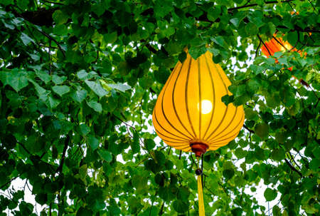 typical chinese lantern - lampion - photoの写真素材