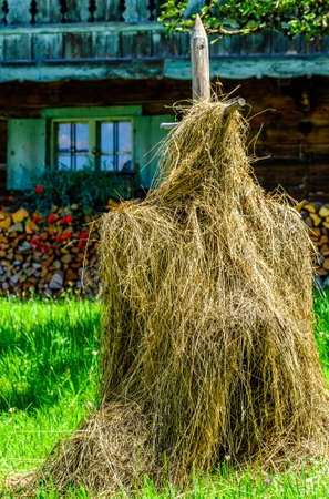 typical hay bale at a meadow - bavariaの写真素材