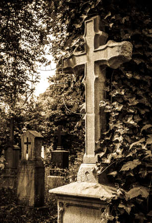 old gravestone at a cemetery - photo