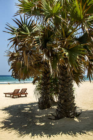 Dream Beach Sri Lankaの写真素材