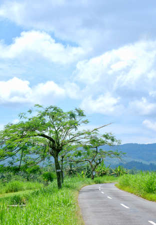 Road villageの写真素材