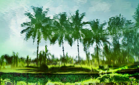 Reflection treesの写真素材