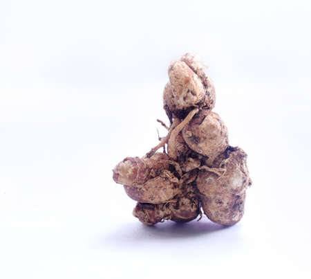 Bumbu dapur dengan background putihの写真素材