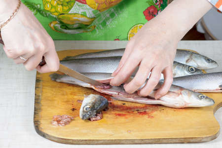 Female hands preparing fish.