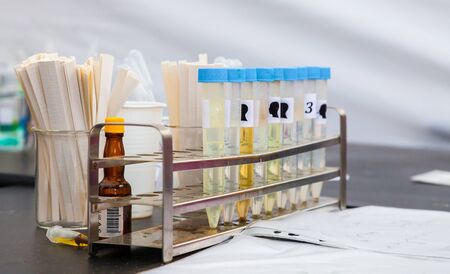 Test Tubes in Rack, Small Papers for Smelling Test in Backgroundの写真素材