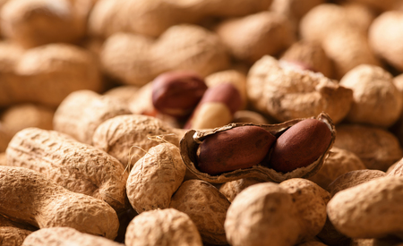 Peanuts Closeupの写真素材
