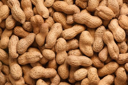 Peanuts Closeup