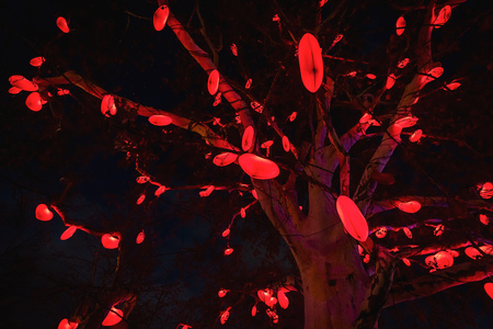 Chrismas markets at Rathausplatz in Vienna, lighted ornate tree on which hearts are hungの写真素材