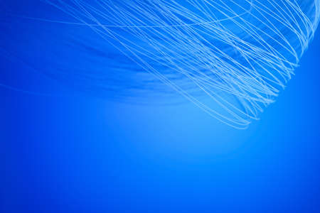 Beautiful abstract wavy curves, blue digital technology background, selective focus, corporate conceptの写真素材