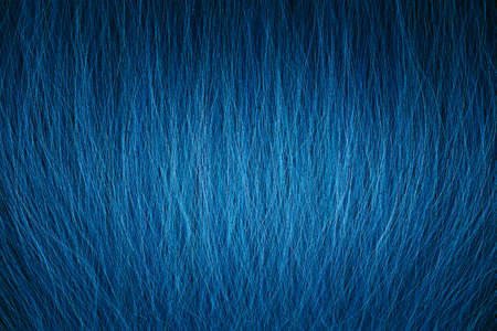 3D rendering of a closeup view of a bunch of blue hair in a wavy curved style, dark abstract backgroundの写真素材