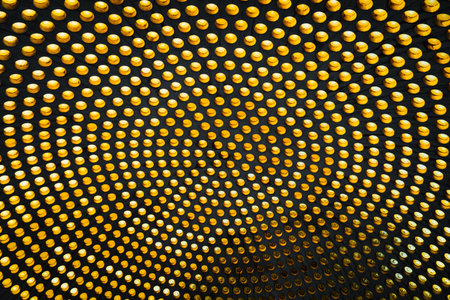 The roof of the main building of the colonnade in Podebrady, Mineral water sourceの写真素材