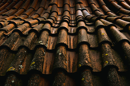 Rustic Terracotta Roof Tiles of MalÃ¡ Strana, Pragueの写真素材