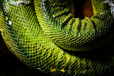 Close-Up of Vibrant Green Snake Scales in Detailed Texture