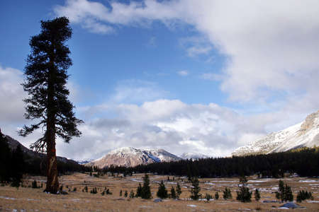 First snow in valley