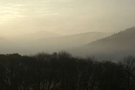 Foggy morningの写真素材