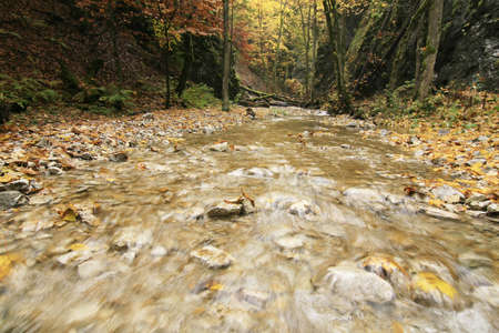 Autumn creekの写真素材