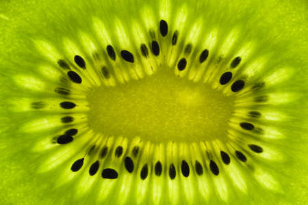 Kiwi fruitの写真素材
