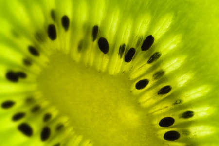 Kiwi fruitの写真素材