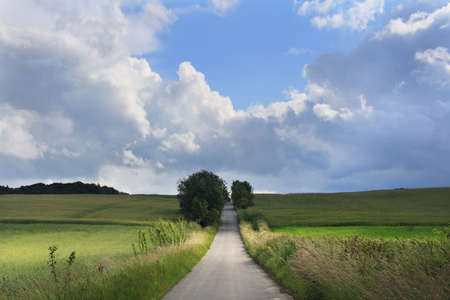 Country roadの写真素材