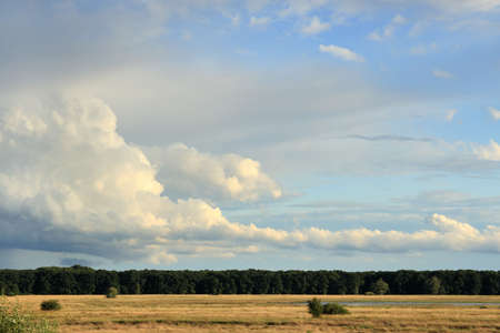 Sky after stormの写真素材