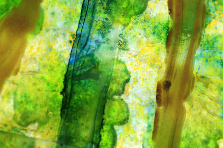 Green stained glassの写真素材