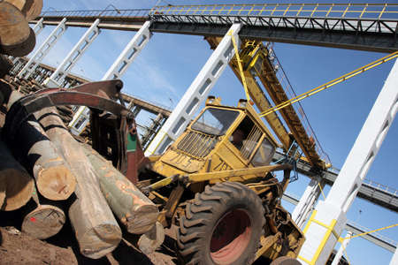 Lumber being processed at a forest products sawmillの写真素材